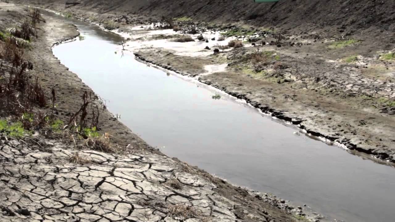 Making Water Right: California's Grassroots, Water Justice Movement