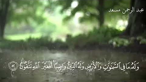 تلاوة هادئة 🍃 ماتيسر من سورة النحل