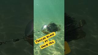 Bucktail, trailer blade vs grub tail. Which do you like better? #muskyfishing #thisisreallife