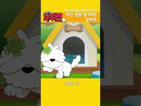 [뿡뿡빵빵 부부맨☁] 주인 생일 챙기는 강아지🐶 | 매주 수 오전8시 30분 방송 | 투니버스에서 본방사수! 😊