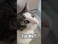 "Where's Mine?"