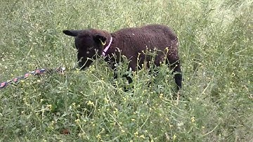 Introducing our new Reg