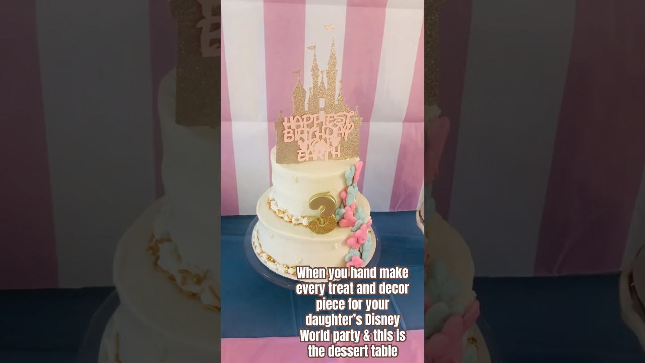 Disney World themed bday party DIY Style 