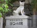 高野山の案内犬ゴンの歌　妙佳(Taeka)　ほんとにいた不思議な犬のお話　高野山の案内犬ゴン