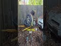 HOA Karen Tried to Stop Him From Mowing… She Didn’t Know What It Would Cost Her