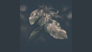 Farewell III