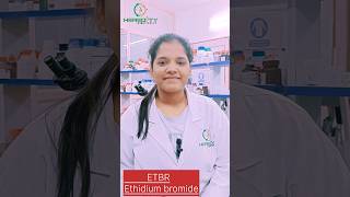 Etbrethidium Bromide