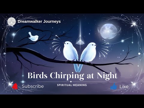 Spiritual Meaning of Hearing Birds Chirping at Night | Divine Messages & Spiritual Awakening