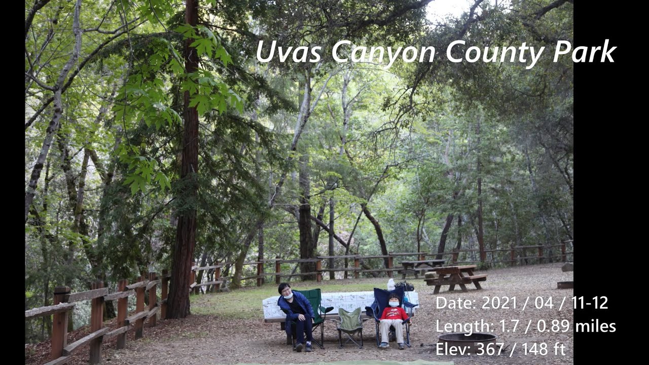 Uvas Canyon County Park Waterfall Loop