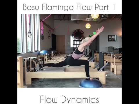 camera iphone 8 plus apk Flamingo Bosu Reformer Flow Part 1