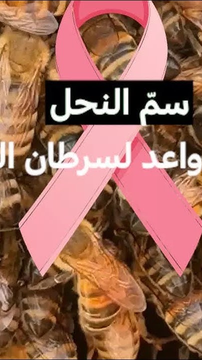  ...    .   24 / FRANCE 24
 - نشر قبل 10 ساعة