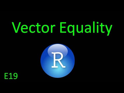 Vector Equality in R (E19)