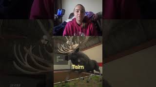 My Moose Great Ones #gaming #hunting #thehuntercallofthewildgameplay