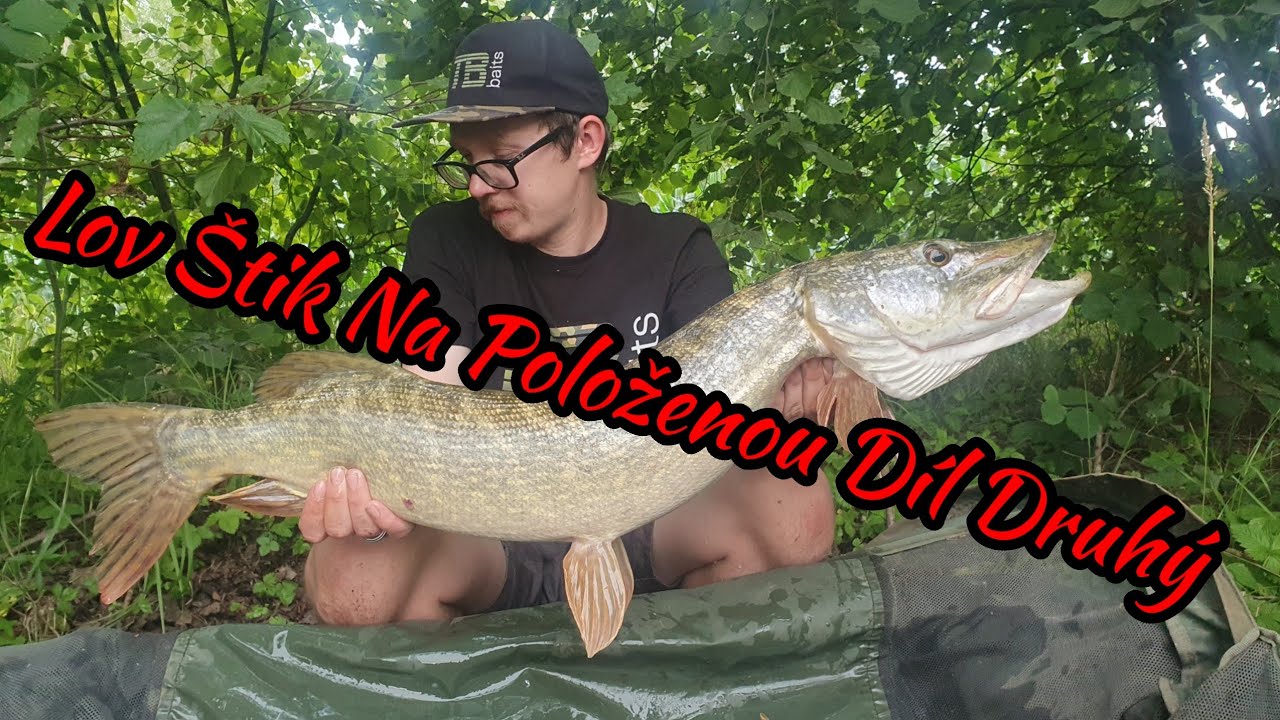 Lov Štik Na Položenou Díl Druhý