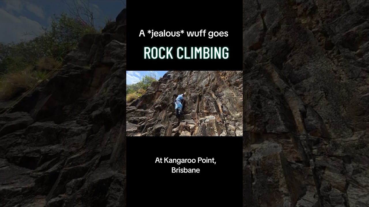 An Overambitious Furry tries Free Solo Rock Climbing