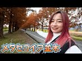 今年もありがとうございました！メタセコイアで来年の目標を語る！