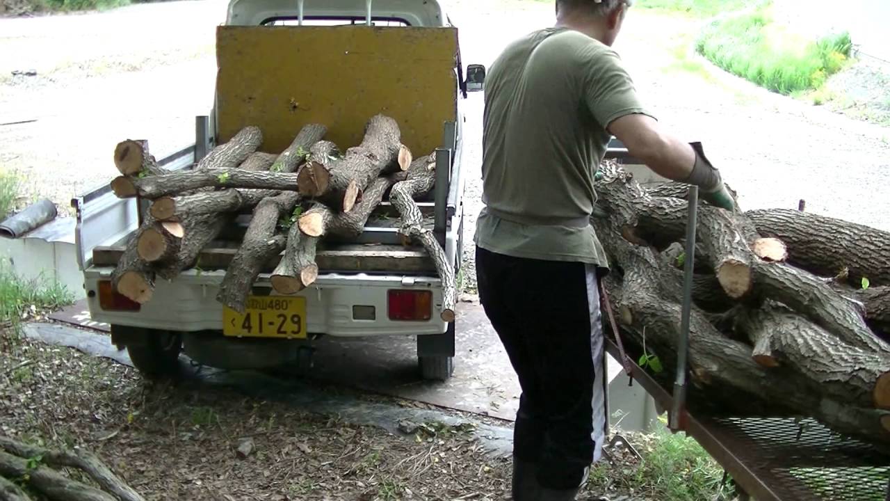 紀州備長炭ができるまで① Making of japanese charcoal[kisyubintyotan]