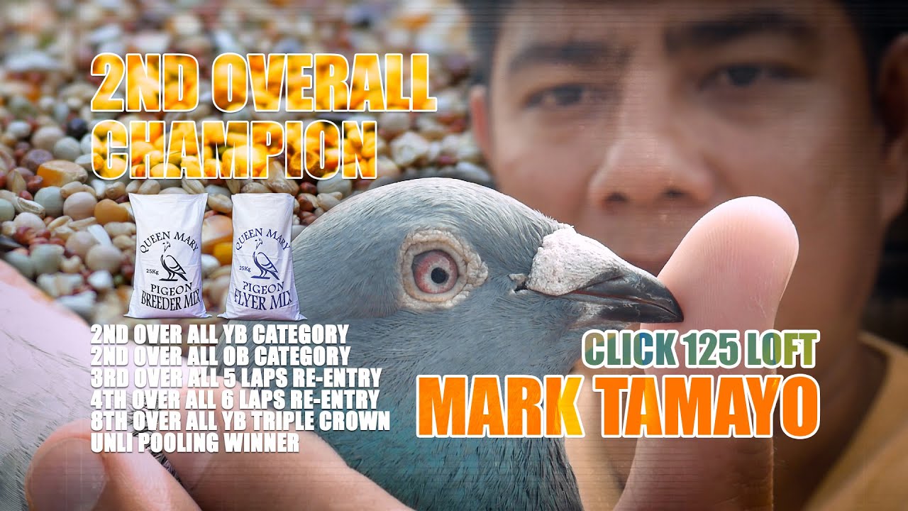 Mark D. Tamayo | Click 125 Loft | 2nd Overall Champion