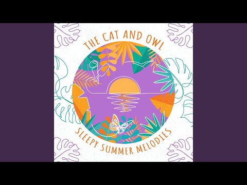 The Cat and Owl - Swing Low Sweet Chariot