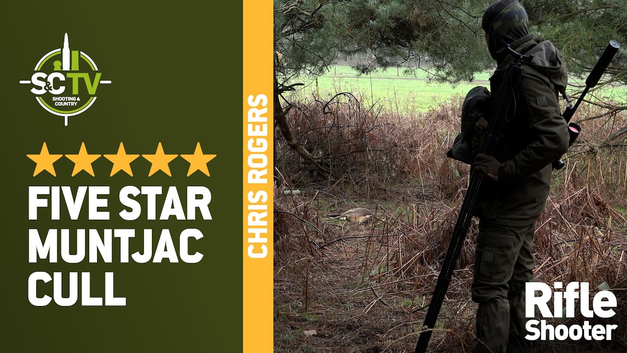 S&C TV |Five Star Muntjac Cull | Deer management with Chris Rogers 50