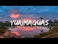 Yurimaguas - La Perla del Huallaga. Loreto, Perú (ARFM)