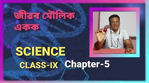 জীৱৰ মৌলিক একক