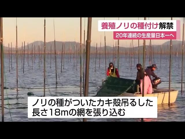 Nori farming begins in Ariake Sea, aiming to be number one in