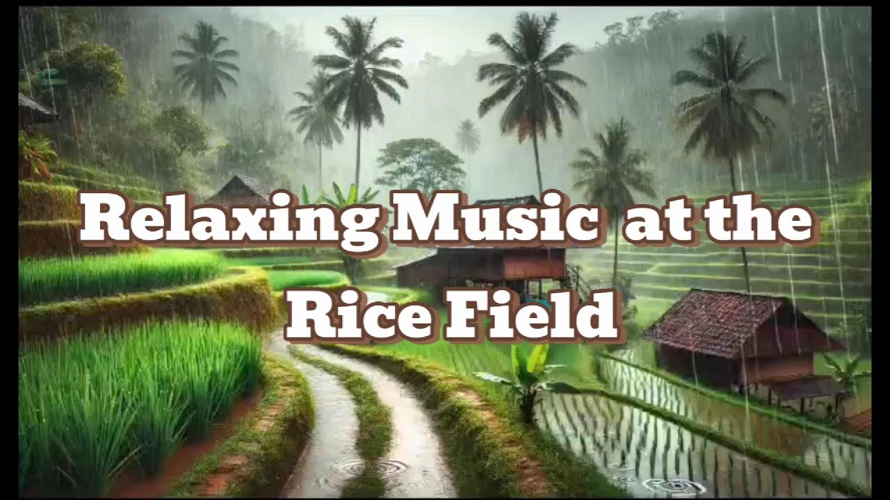 Relaxing Music at the Rice field for not stress 0005 - YouTube