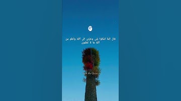 قال إنما أشكو بثي وحزني إلى الله وأعلم من الله ما لا تعلمون #قرآن #حالات واتس #تلاوات #quran#telawat