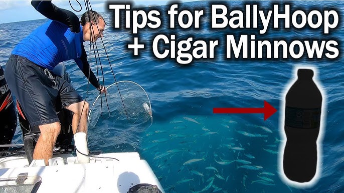 Catch Live Bait in Tampa Florida BallyHoop Collapsible Hoop Net