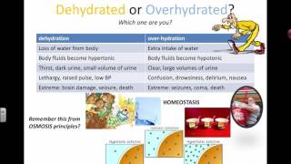 Dehydrated or Overhydrated (IB BIology)
Dehydrated or Overhydrated (IB BIology)
Table of Contents:
00:00 - Dehydrated or Overhydrated?Which one are you? Dehydrated or Overhydrated (IB BIology)
