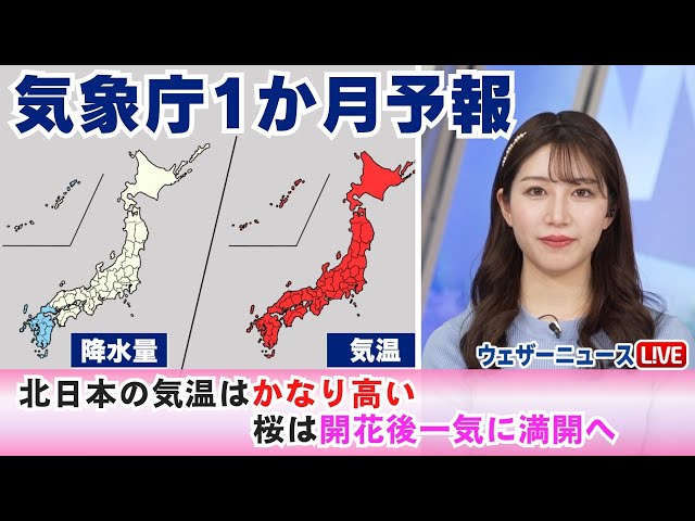 キ＠次回発送日1月上旬 上撰ニューカップ | 商品情報 | 月桂冠