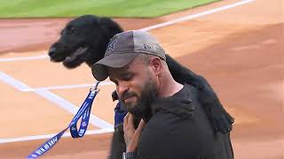 See heartfelt moment U.S. Veteran is presented with life-changing Service Dog at Yankee Stadium