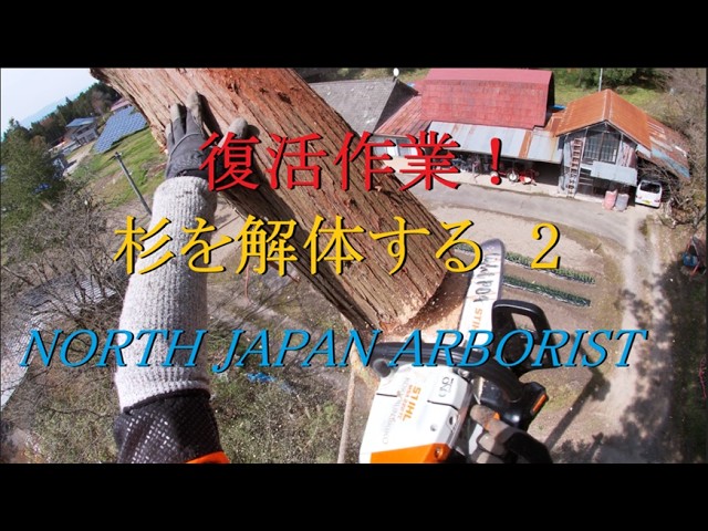 840.復活作業 杉を解体する 2 - YouTube