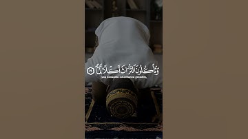 حالات واتس اب | يريح القلب❤️ | راحة نفسية | تلاوة خاشعة جميله جدا 😌🧡