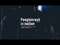 Penguinrush - ONE-MAN SHOW ‟in motion” LIVE Digest at NAGOYA