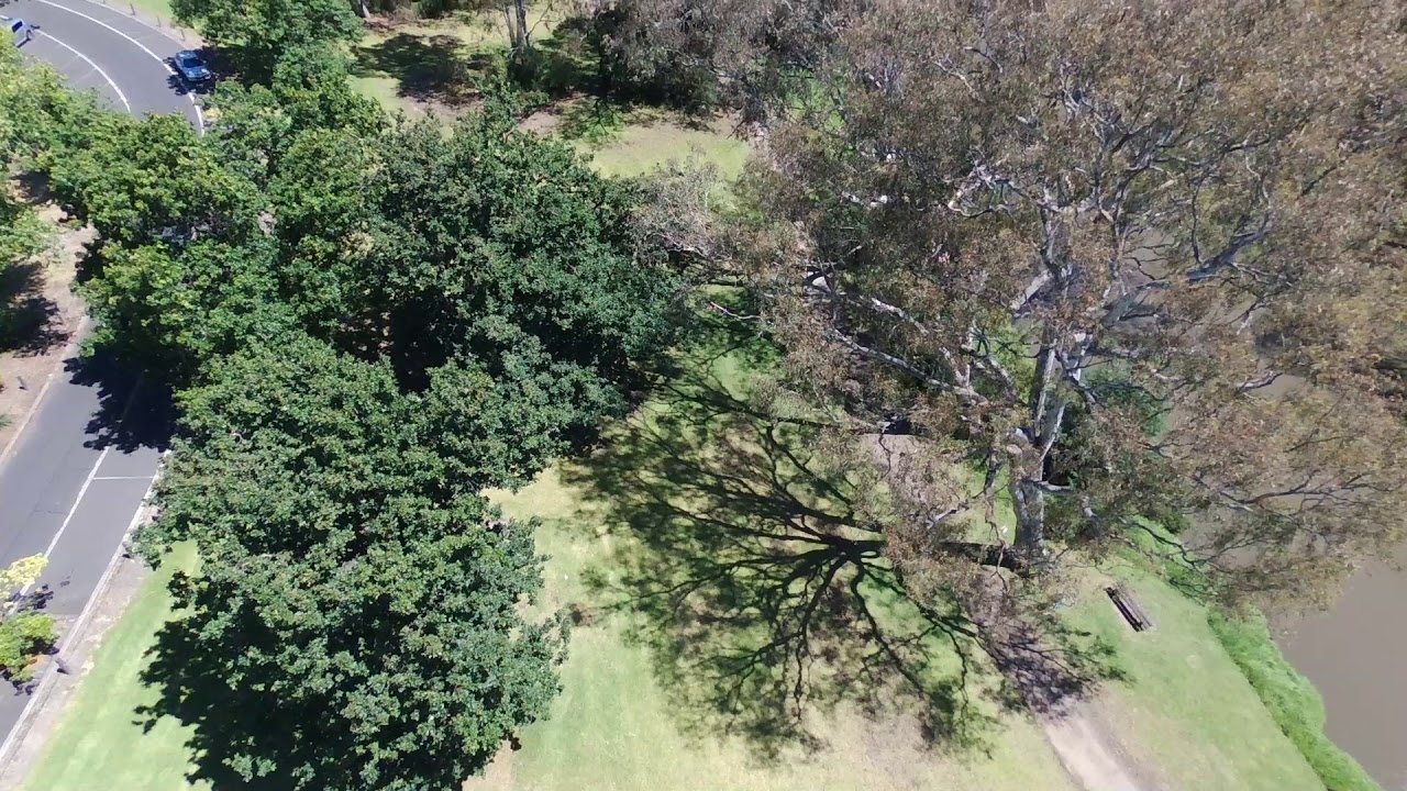 yarra bend park 14 01 18 1