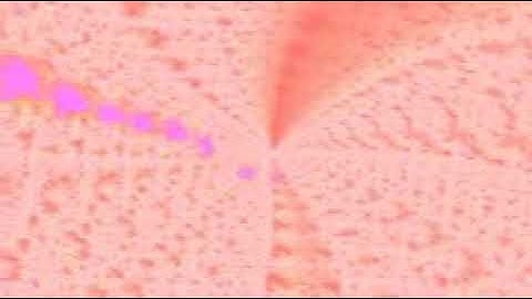 سورة القصص بصوت الشيخ القارئ سعود الشريم