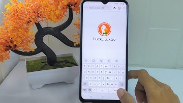 How To Delete Saved Password In DuckDuckGo App On Android