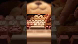 Is this your dream typing sound? ✨ #asmr