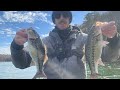 Lake Allatoona Spotted Bass Fishing 2024