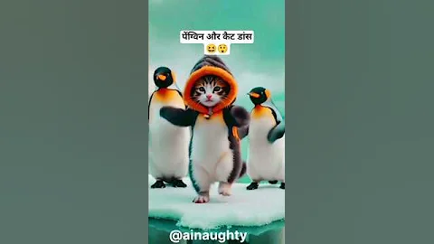 Video 9845691: cat kitten funnycatvideos, kitten cute funnycatvideos, cat kitten cute funny