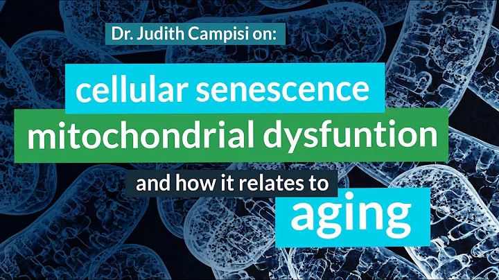 Judith Campisi, Ph.D. on Cellular Senescence, Mito...