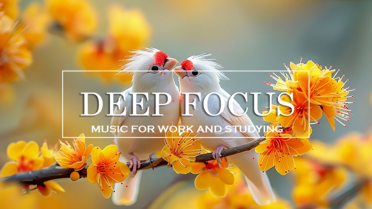 ADHD Relief Music With Rhythmic Pulse - 4 Of Hours Ambient Study Music To Concentrate and Memory