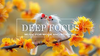 ADHD Relief Music With Rhythmic Pulse - 4 Of Hours Ambient Study Music To Concentrate and Memory