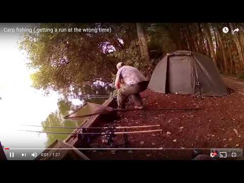 Неожиданная рыбалка! Красивые поклевки карпа! Мечта каждого рыбака. bite carp