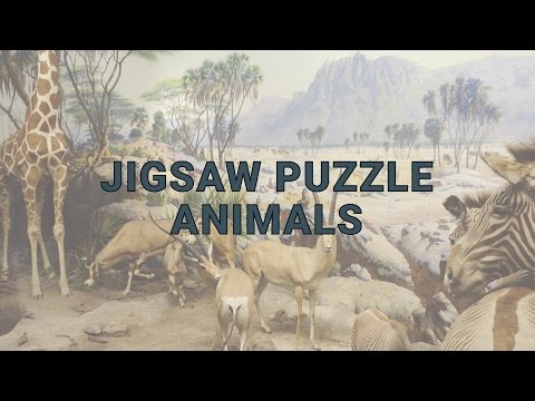 Jigsaw Puzzle: Animals