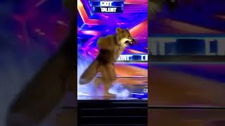 Dancing Bear Steals the Entire Show 🐻🎶🔥