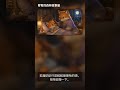 睡不著,也沒關係|小狐狸的晚安陪伴 Shorts