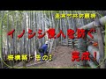 孟宗竹林防護柵作り完了版 ( イノシシを防ぐ！)Making of Moso bamboo protective fence ~part 3